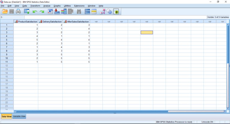 SPSS Data file